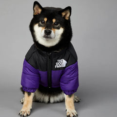 Luxuriöse Winterjacke für Hunde