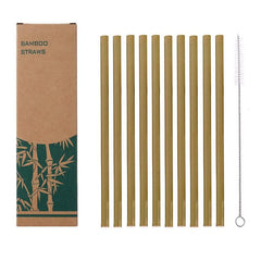 Natural Organic Bamboo Straw Set