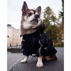 Winter Dog Face Jacket