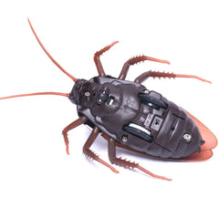 Remote Control Cockroach Toy