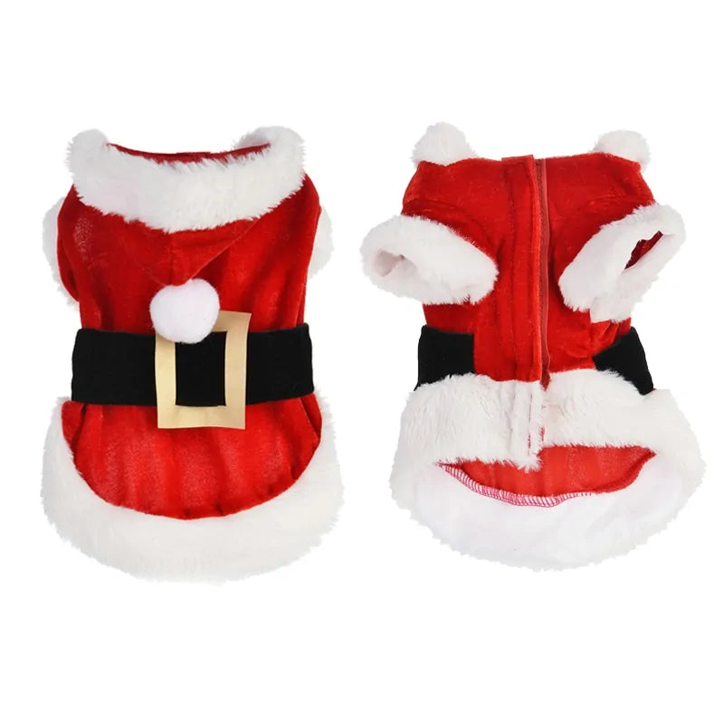 Santa Pet Outfit