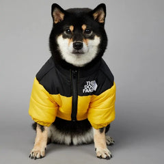 Luxuriöse Winterjacke für Hunde