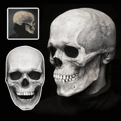 Human Skeleton Mask For Halloween Party | Head Skull Mask